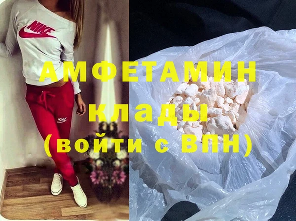 гидра Богородск