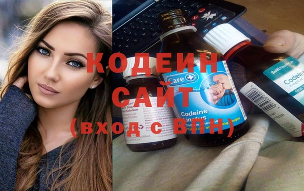 гидра Богородск