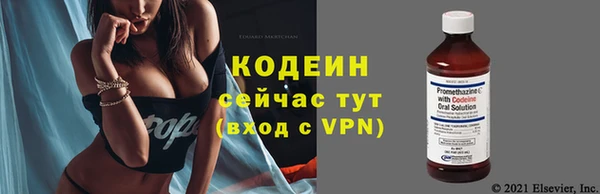 хмурый Богородицк