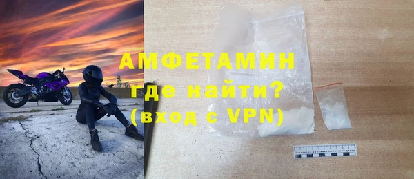 гидра Богородск