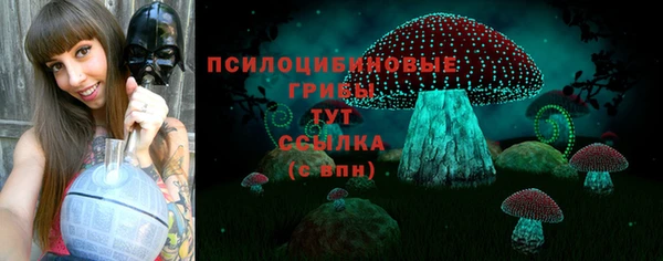 хмурый Богородицк